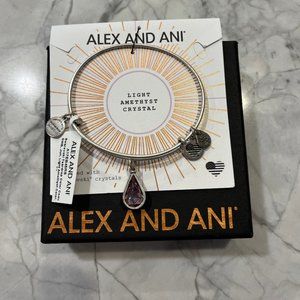 Alex and Ani Amethyst Bracelet